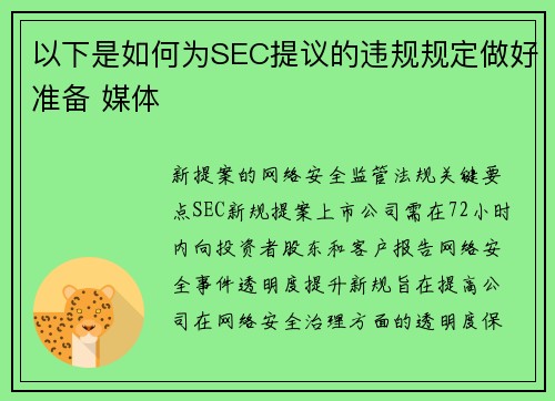 以下是如何为SEC提议的违规规定做好准备 媒体