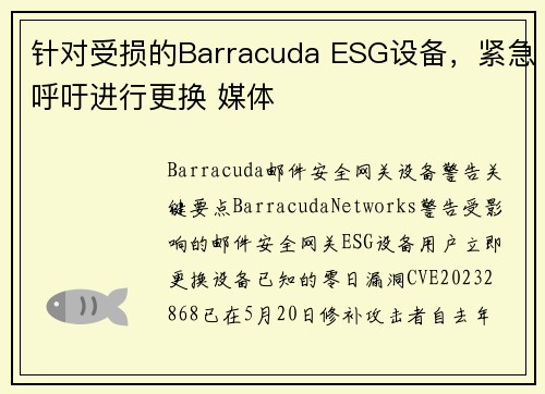针对受损的Barracuda ESG设备，紧急呼吁进行更换 媒体